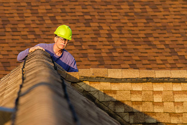 Best Roof Gutter Cleaning  in Alton, IA