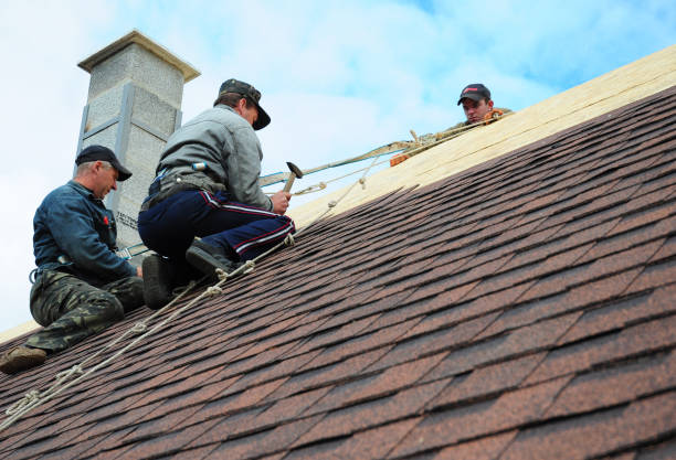 Trusted Alton, IA Roofing Contractor Experts